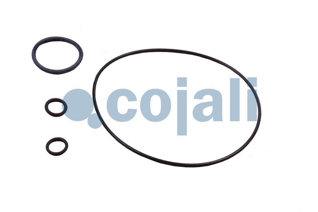 6034062 | 1423081 | CLUTCH SERVO REPAIR KIT - Cojali Parts 