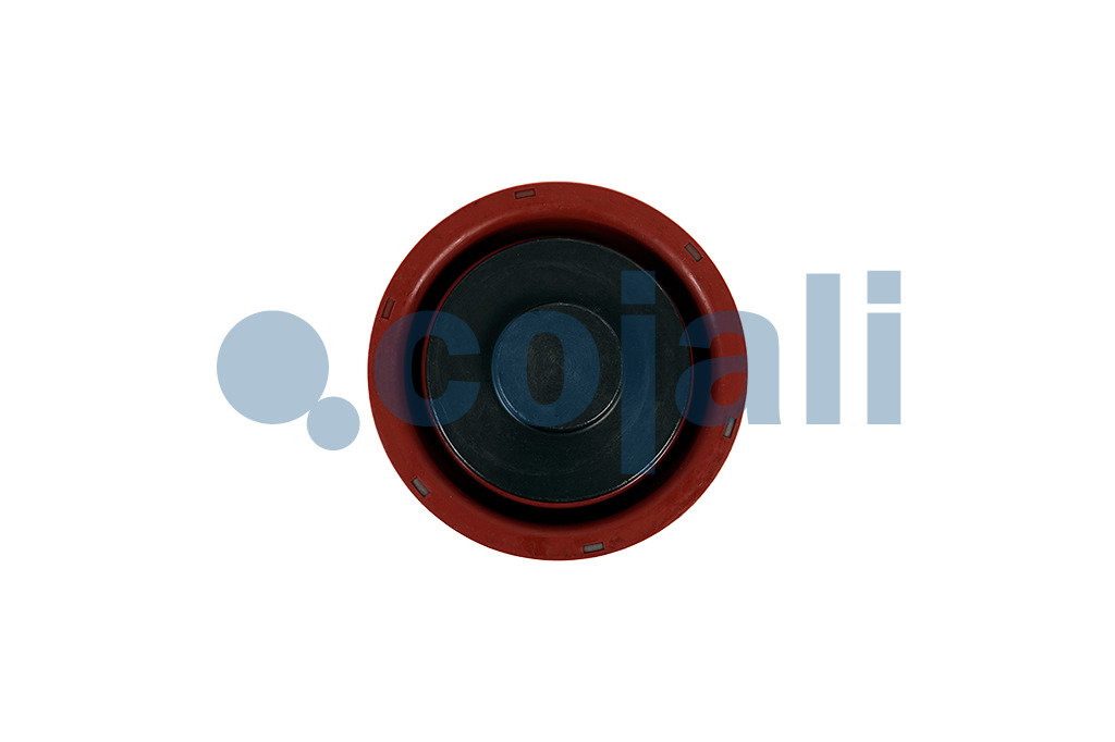 6084011 | K001929 | BRAKE CALIPER REPAIR KIT - Cojali Parts 