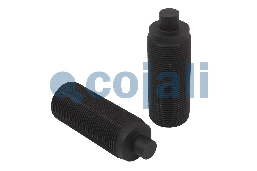 6084520 | NO OEM | BRAKE CALIPER REPAIR KIT - Cojali Parts 