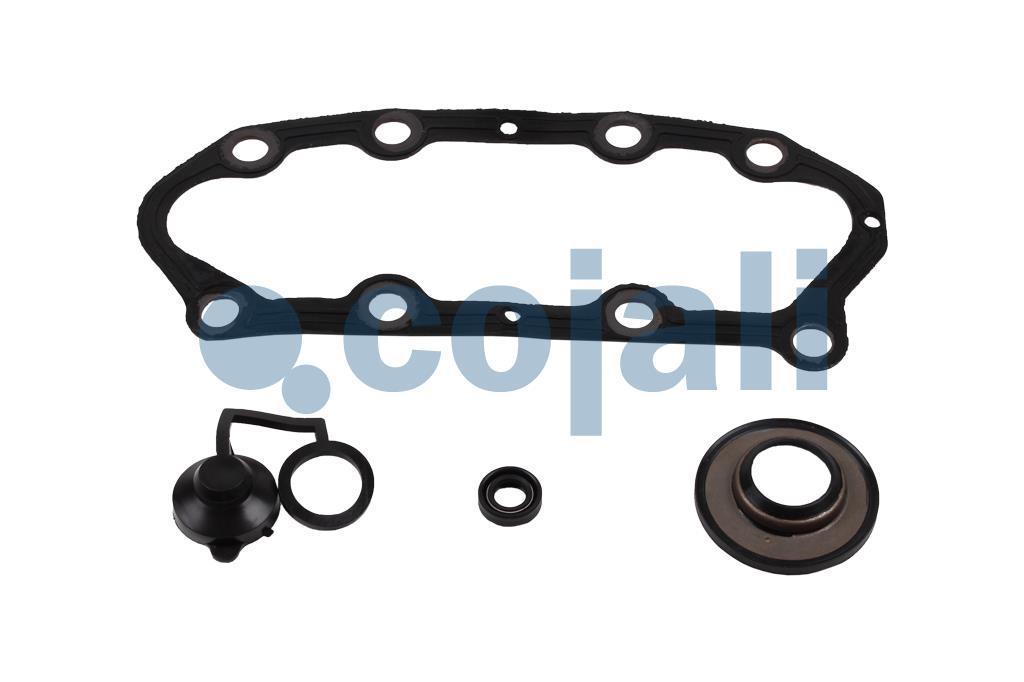 6086094 | SJ4109 | BRAKE CALIPER REPAIR KIT - Cojali Parts 