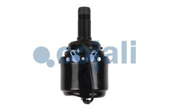 SPRING BRAKE (WEDGE BRAKE) 09/20 | 2251301