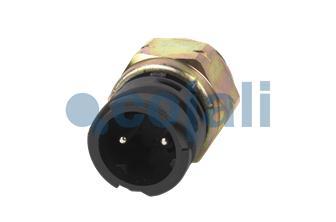CONTACT SWITCH | 2260339