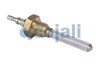 COOLANT LEVEL SENSOR | 2260476