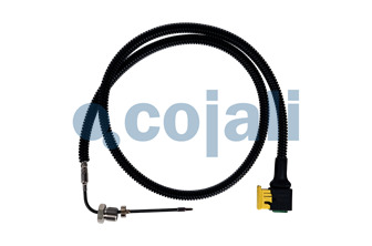 TEMPERATURE SENSOR | 2260884