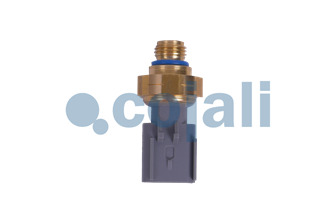 EXHAUST GAS PRESSURE SENSOR | 2262035