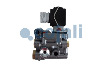 ÉLECTROVALVE EGR | 2880217