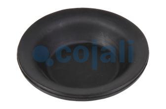 09” TİP DİYAFRAM NORMAL STROK | 6001100