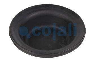 09" DIAPHRAGM MEDIUM STROKE | 6001102