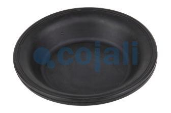 12" DIAPHRAGM NORMAL STROKE | 6001103