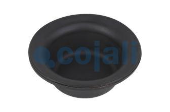 12" DIAPHRAGM LONG STROKE | 6001104