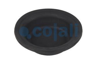 12" DIAPHRAGM MEDIUM STROKE | 6001105