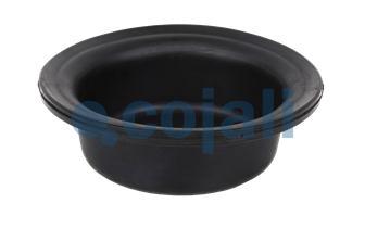 16" DIAPHRAGM LONG STROKE | 6001109