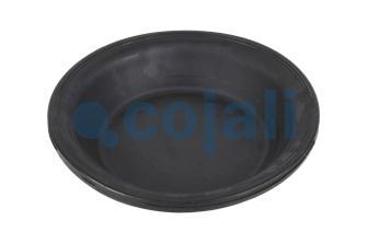 20" DIAPHRAGM NORMAL STROKE | 6001112