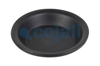 24" DIAPHRAGM NORMAL STROKE | 6001116