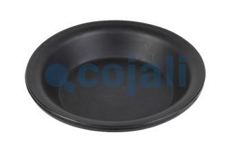 24" DIAPHRAGM NORMAL STROKE | 6001116