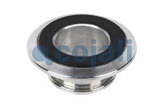 PISTONE | 6002230