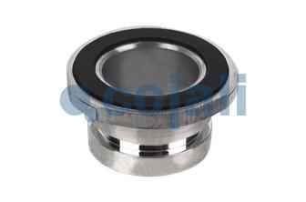 PISTONE | 6002231