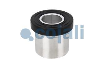 PISTONE | 6002232