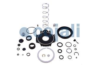 CLUTCH SERVO REPAIR KIT | 6012048