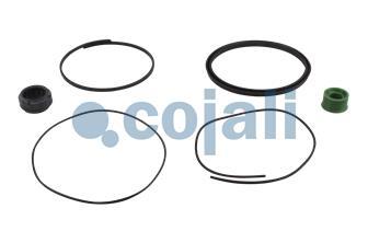 SPRING BRAKE REPAIR KIT | 6014127