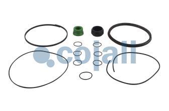 SPRING BRAKE REPAIR KIT | 6014128