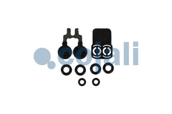 ADBLUE MODULE REPAIR KIT | 6019506