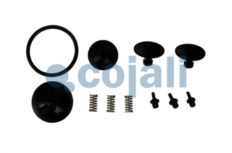 ADBLUE MODULE REPAIR KIT | 6019515