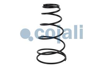 SPRING BRAKE REPAIR KIT | 6052003