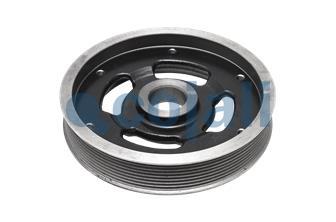 FAN CLUTCH PULLEY | 7033422