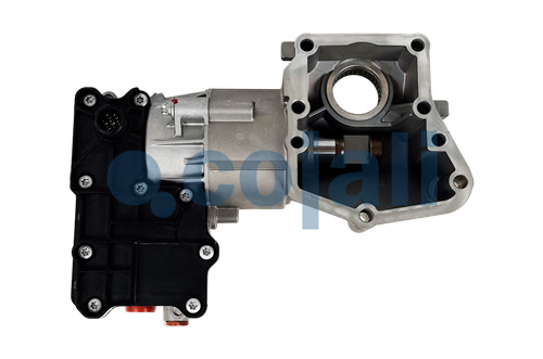 2216216 | 4213500880 | GANGMODUL - Cojali Parts