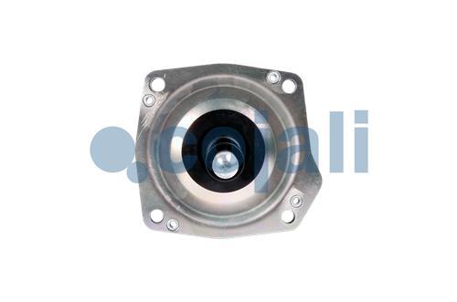 2250255 | 9700511730 | CLUTCH SERVO - Cojali Parts