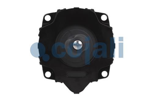 2250298 | 9700514650 | CLUTCH SERVO - Cojali Parts