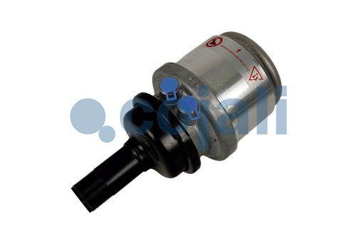 2251313 | II36537 | SPRING BRAKE (WEDGE BRAKE) 12/20 - Cojali Parts