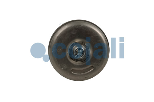 2251313 | II36537 | SPRING BRAKE (WEDGE BRAKE) 12/20 - Cojali Parts