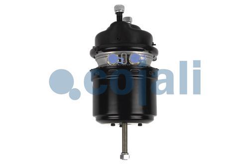 2259750 | 9254612700 | SPRING BRAKE (DISC BRAKE) 24/24 - Cojali Parts