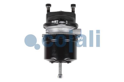 2251532 | 9254864000 | SPRING BRAKE (DISC BRAKE) 16/16 PORT  