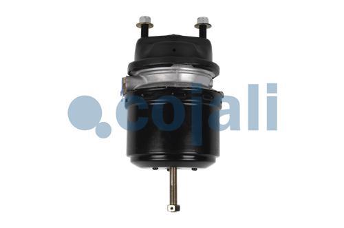 2251536 | 9254813100 | SPRING BRAKE (DISC BRAKE) 24/30 - Cojali Parts