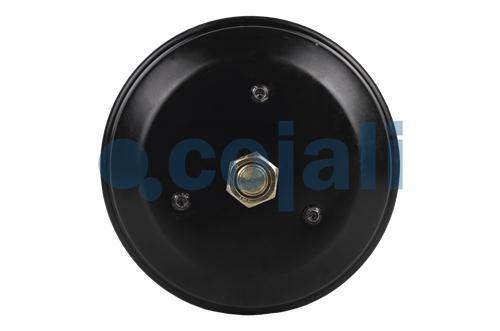 2251536 | 9254813100 | SPRING BRAKE (DISC BRAKE) 24/30 - Cojali Parts