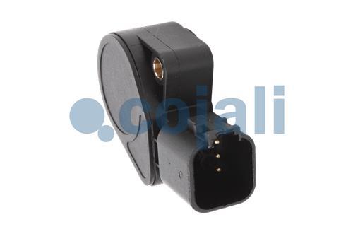 2260372 | 7482492421 | ACCELERATOR POSITION SENSOR - Cojali Parts