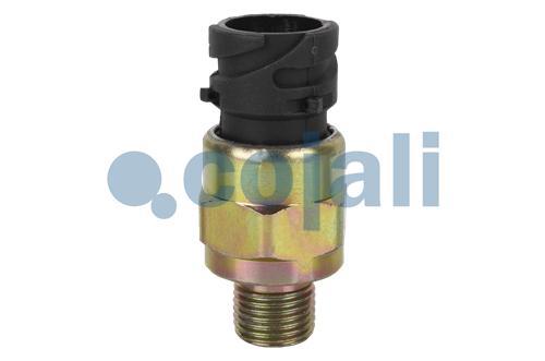 2260449 | 20382513 | PRESSURE SWITCH - Cojali Parts