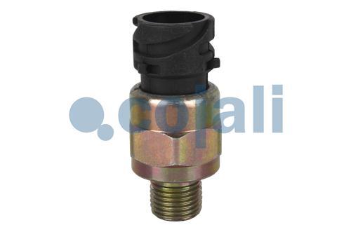 2260450 | 20382516 | PRESSURE SWITCH - Cojali Parts