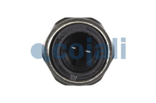 2260453 | 1449771 | PRESSURE SWITCH - Cojali Parts