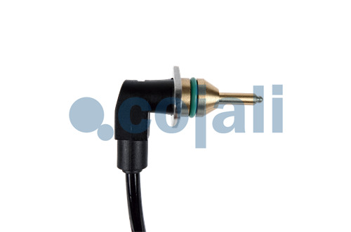 2260876 | 1881331 | TEMPERATURE SENSOR - Cojali Parts