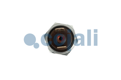 2262107 | 4410141180 | PRESSURE SWITCH - Cojali Parts 
