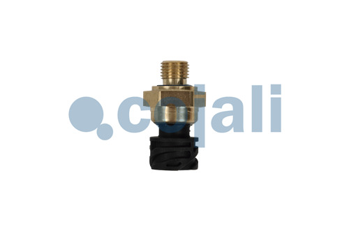 2262032 | 2126981 | ÖLDRUCKSENSOR - Cojali Parts