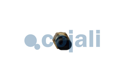 2262054 | 4954905 | COOLANT TEMPERATURE SENSOR - Cojali Parts