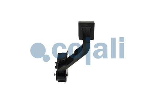 2262064 | 7423328370 | THROTTLE PEDAL - Cojali Parts 