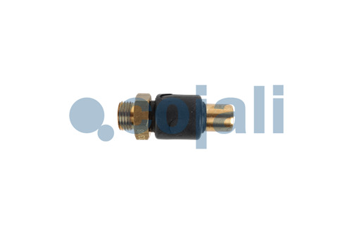 2280111 | 4346082240 | SAFETY VALVE - Cojali Parts