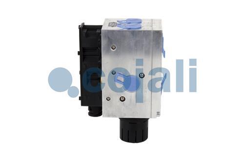 Dorman BCK82030PR Kit boccole braccio di controllo sospensione superiore anteriore compatibile con modelli selezionati