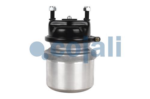 2259650 | BS9449 | SPRING BRAKE (DISC BRAKE) 20/24 - Cojali Parts